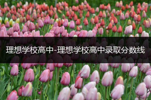 理想学校高中-理想学校高中录取分数线