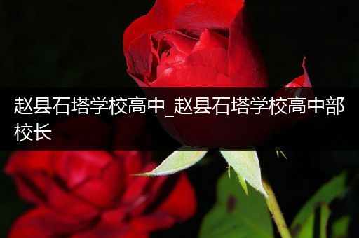 赵县石塔学校高中_赵县石塔学校高中部校长