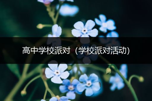 高中学校派对（学校派对活动）