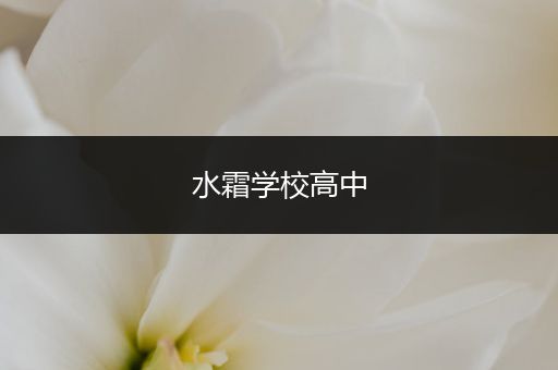 水霜学校高中