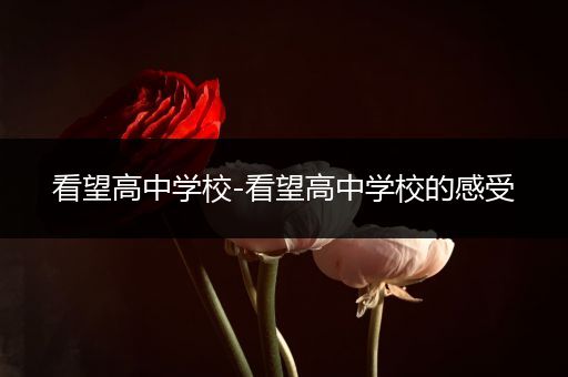 看望高中学校-看望高中学校的感受