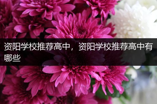 资阳学校推荐高中，资阳学校推荐高中有哪些