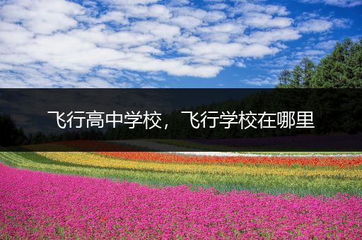 飞行高中学校，飞行学校在哪里