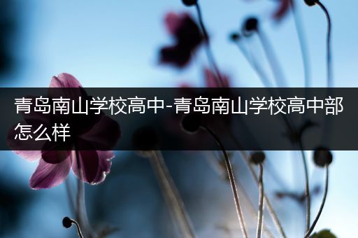 青岛南山学校高中-青岛南山学校高中部怎么样