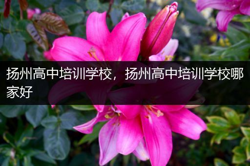 扬州高中培训学校，扬州高中培训学校哪家好