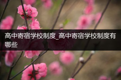 高中寄宿学校制度_高中寄宿学校制度有哪些
