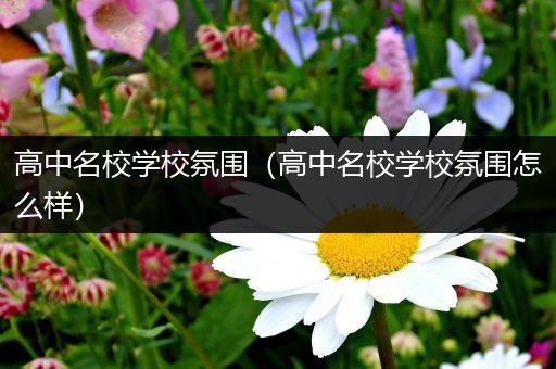 高中名校学校氛围（高中名校学校氛围怎么样）