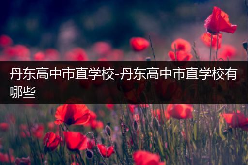 丹东高中市直学校-丹东高中市直学校有哪些