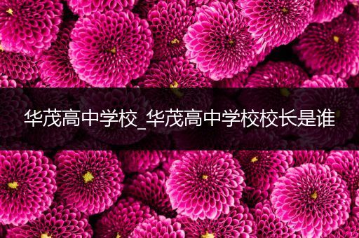 华茂高中学校_华茂高中学校校长是谁