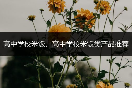 高中学校米饭，高中学校米饭类产品推荐