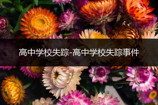 高中学校失踪-高中学校失踪事件