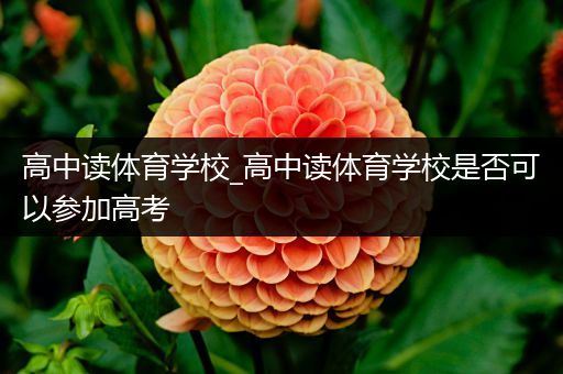 高中读体育学校_高中读体育学校是否可以参加高考