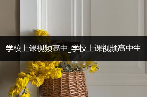 学校上课视频高中_学校上课视频高中生
