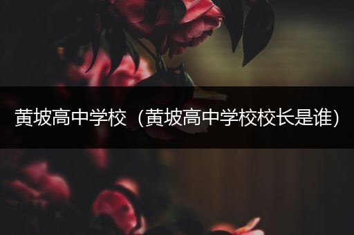 黄坡高中学校（黄坡高中学校校长是谁）