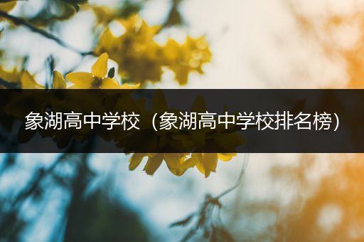 象湖高中学校（象湖高中学校排名榜）