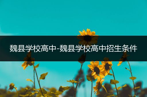 魏县学校高中-魏县学校高中招生条件