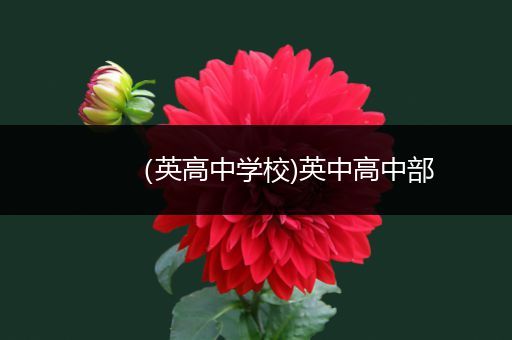 （英高中学校)英中高中部