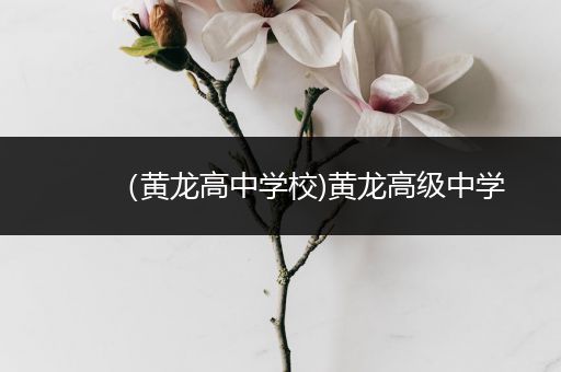 （黄龙高中学校)黄龙高级中学